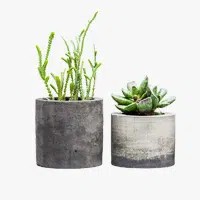Decor